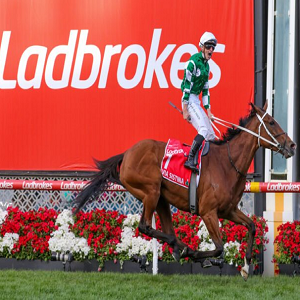 Ladbrokes Paris Hippiques