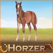 Horzer